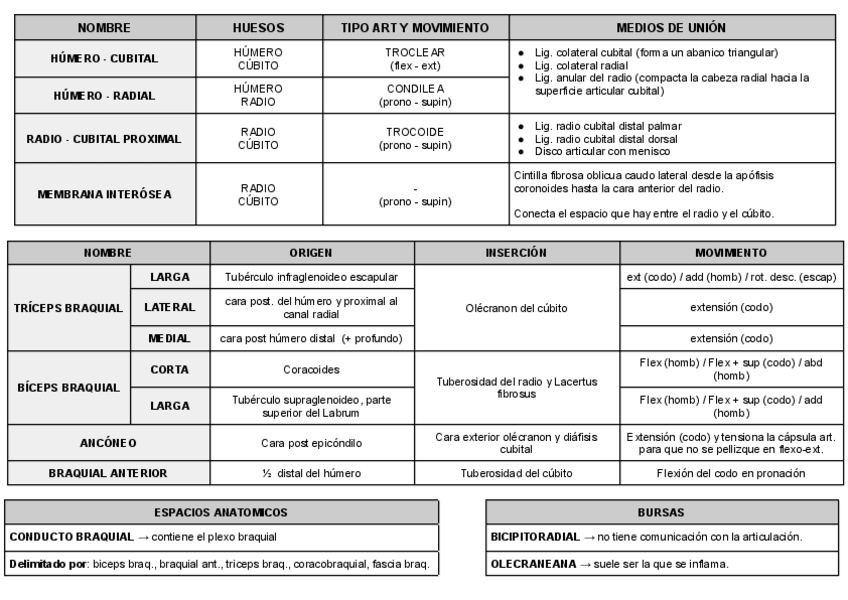 Miniatura del documento ARTICULACION-CODO.pdf