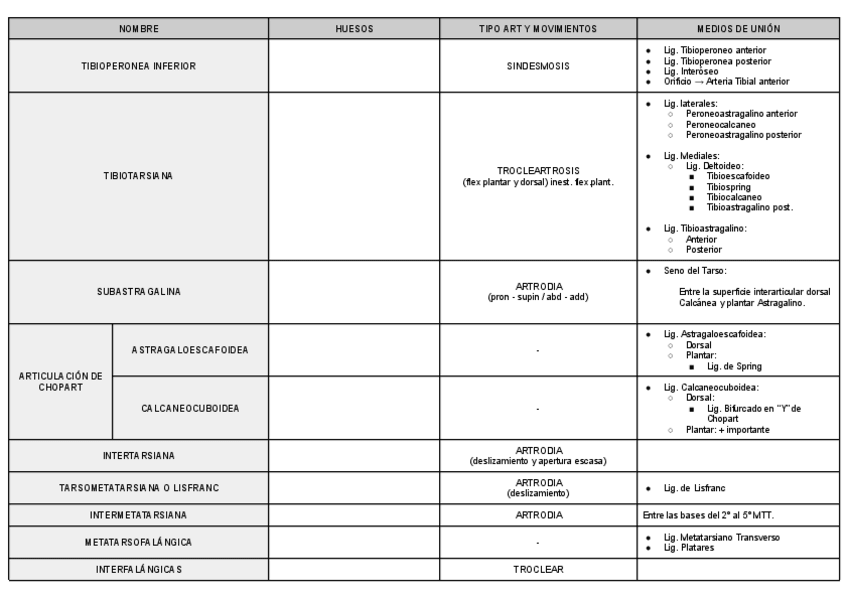 Miniatura del documento ARTICULACION-TOBILLO-PIE.pdf
