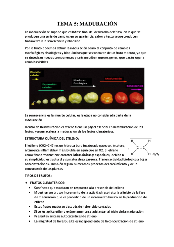 Miniatura del documento TEMA-5.pdf