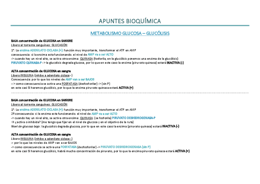 Miniatura del documento ESQUEMAS-RUTAS-BIOQUIMICA.pdf