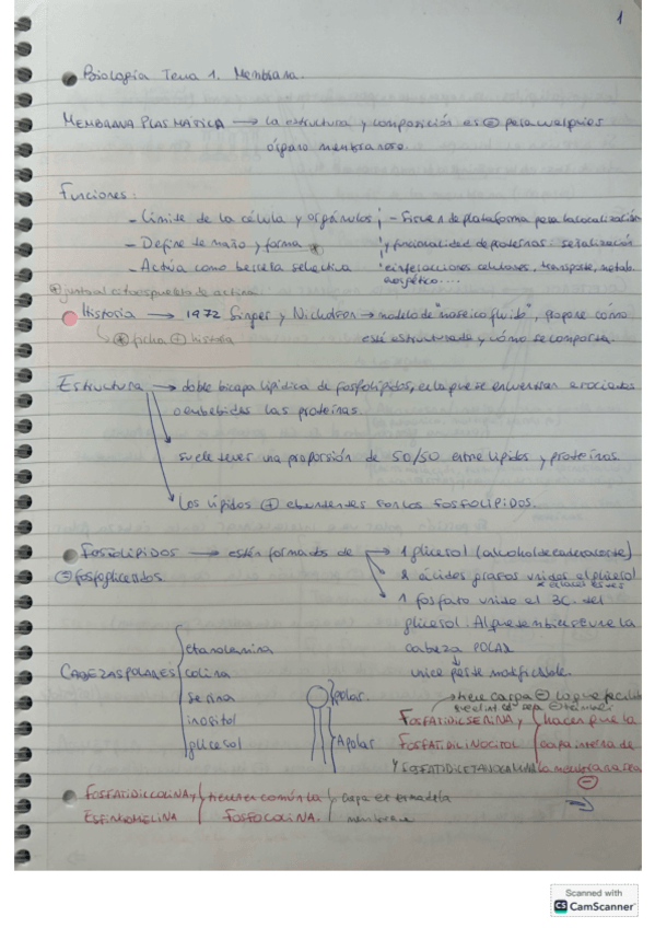 Miniatura del documento BIOLOGIA-1-cuatri-entero.pdf