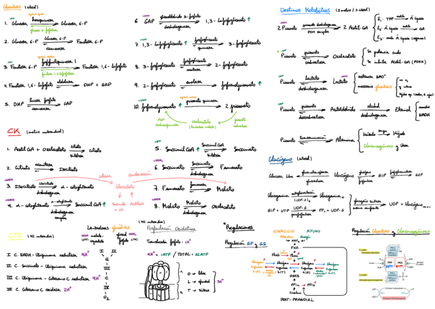 Miniatura del documento Resumen-Reacciones.pdf