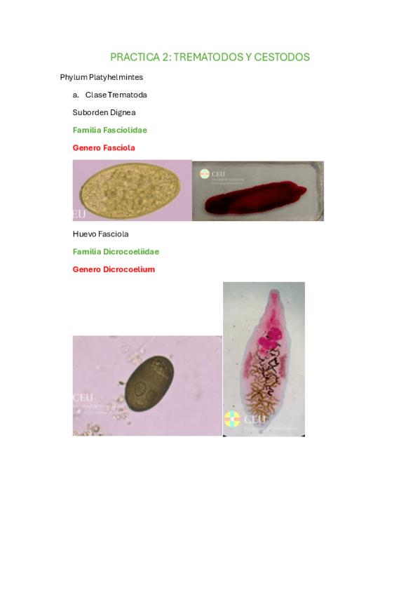 Miniatura del documento PRACTICA-2.pdf