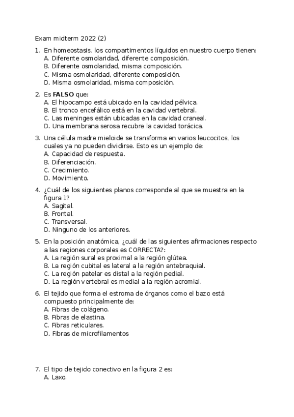 Miniatura del documento Exam-midterm-2022-2.docx
