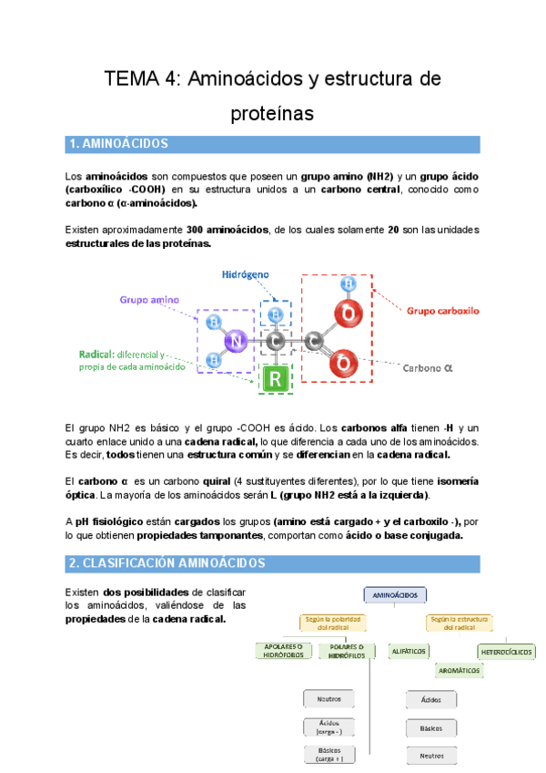 Miniatura del documento TEMA-4-Aminoacidos-y-estructura-de-proteinas.pdf