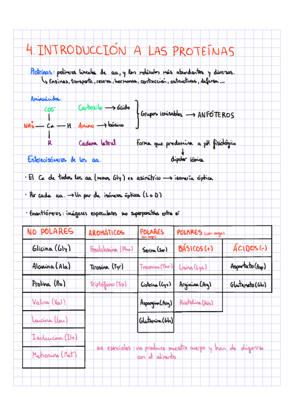 Miniatura del documento 4.-Introduccion-a-las-proteinas.pdf