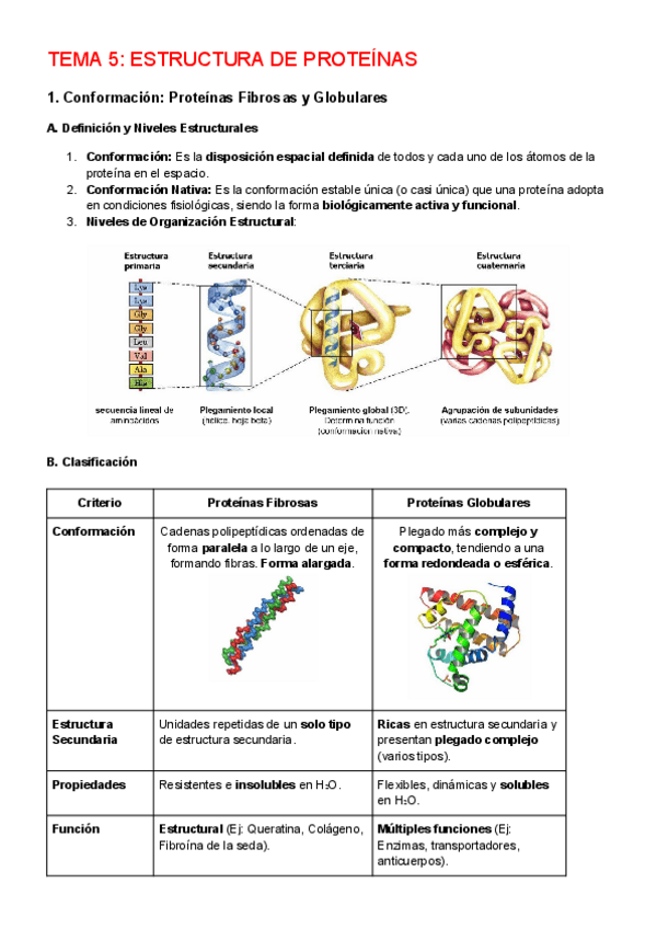 Miniatura del documento 5.-Estructura-de-las-proteinas.pdf