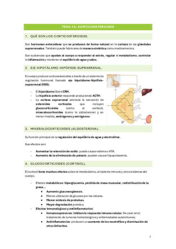 Miniatura del documento TEMA-14-CORTICOESTEROIDES.pdf