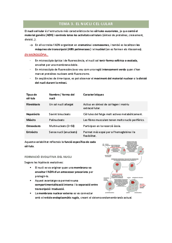 Miniatura del documento biologia-cellular-TEMA-3.pdf