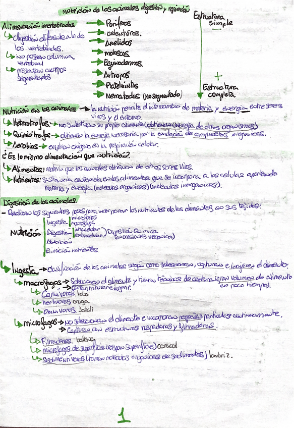 Miniatura del documento nutricion-digetion-y-repiracion-animal.pdf