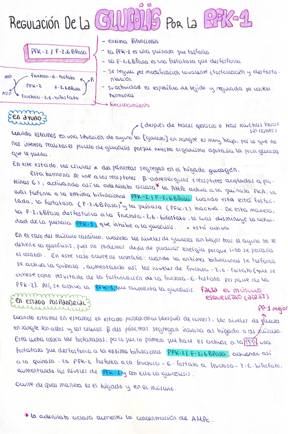 Miniatura del documento Resumen-temas-910-y-11.pdf