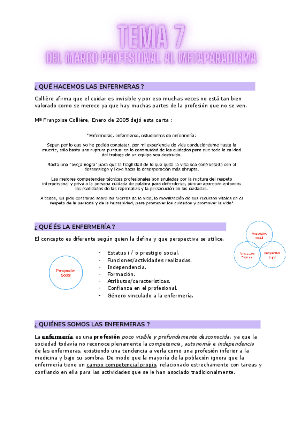 Miniatura del documento Del-marco-profesional-al-Metaparadigma.pdf