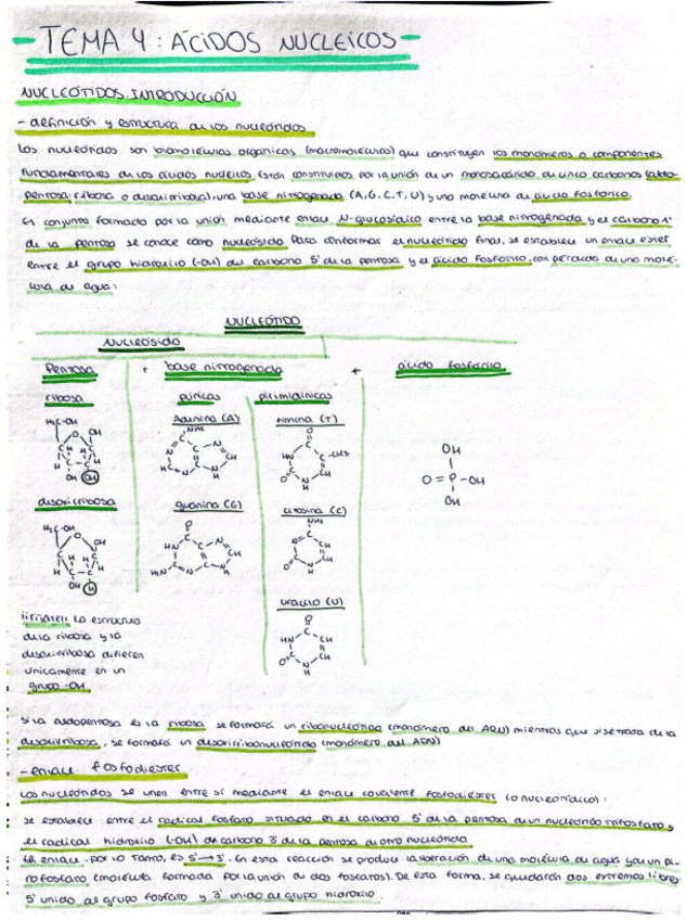 Miniatura del documento Acidos-nucleicos-con-Ejercicios.pdf