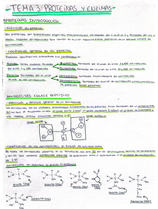 Miniatura del documento Proteinas-y-enzimas-con-ejercicios.pdf