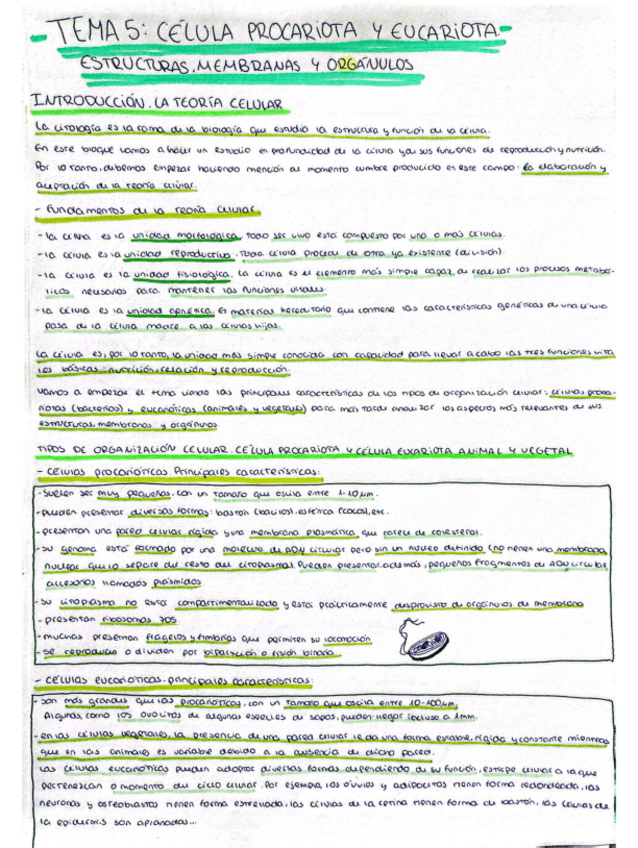Miniatura del documento Celula-procariota-y-eucariota.pdf