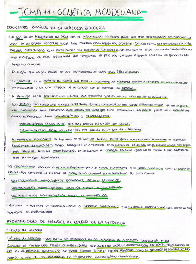 Miniatura del documento Genetica-mendeliana.pdf