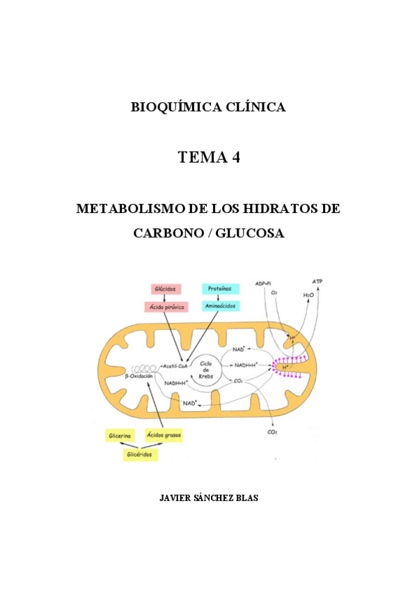 Miniatura del documento tema-4.pdf
