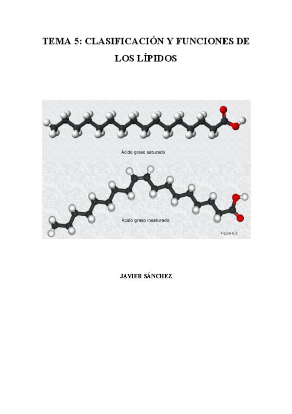 Miniatura del documento TEMA-5-LIPIDOS.pdf