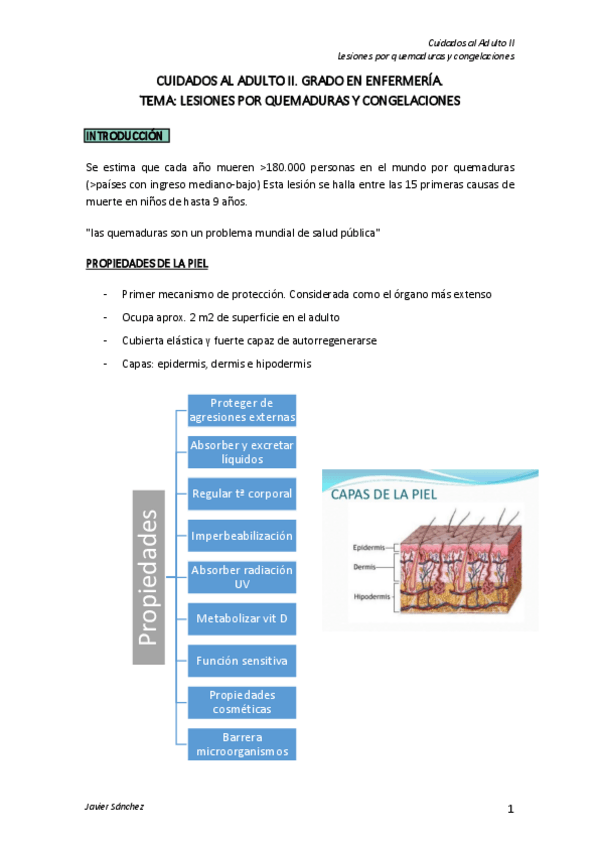 Miniatura del documento TEMA-QUEMADURAS-CUIDADOS-AL-ADULTO-II.pdf
