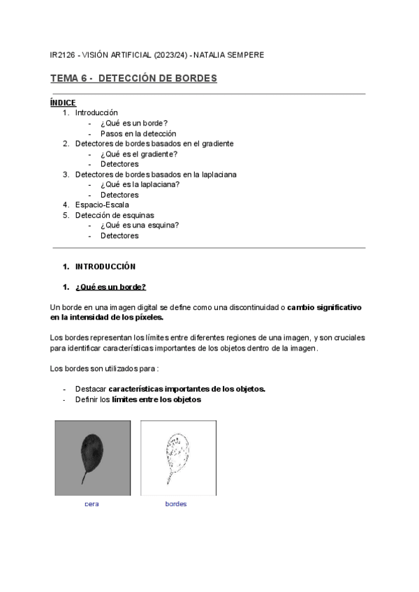 Miniatura del documento T6-Deteccion-de-bordes-1.pdf