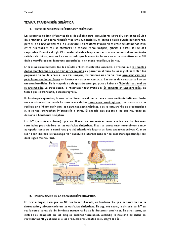 Miniatura del documento TEMA-7.pdf