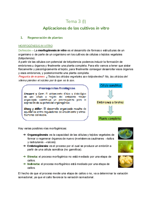 Miniatura del documento Tema-3.1-cultivos-vegetales.pdf