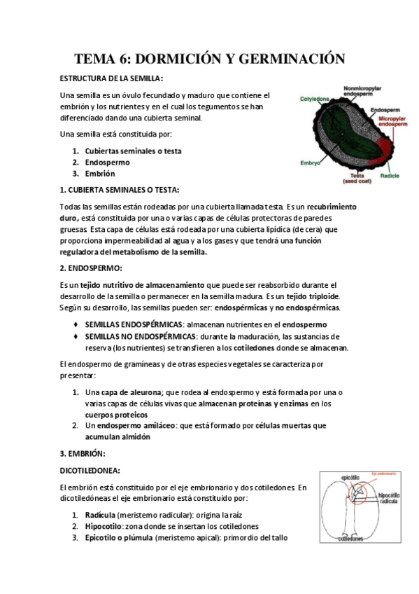 Miniatura del documento TEMA-6.pdf