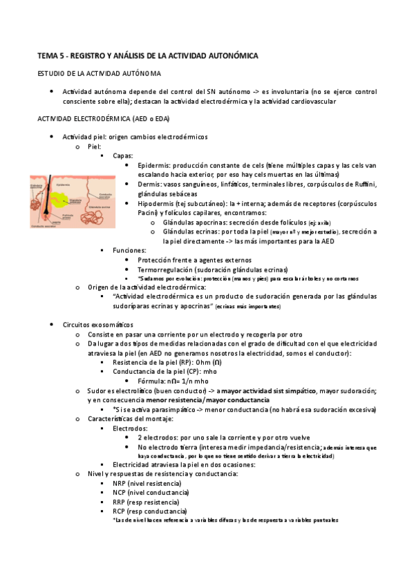 Miniatura del documento TEMA-5.-NEUROCIENCIA.pdf