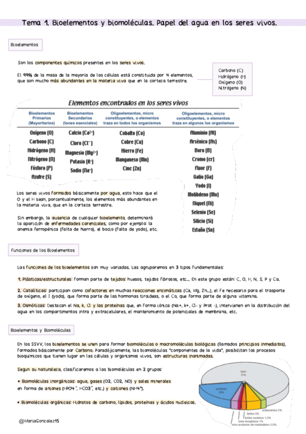 Miniatura del documento MG.-Bloque-I-Introduccion.pdf