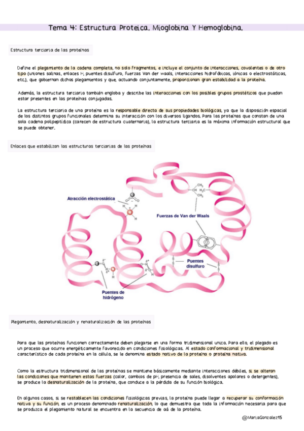 Miniatura del documento MG.-Tema-4-Estructura-Proteica.-Mioglobina-Y-Hemoglobina..pdf