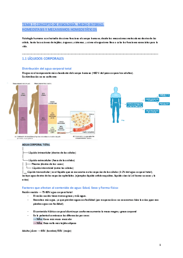 Miniatura del documento TEMA-1-Y-2-LA-SAGRE.pdf