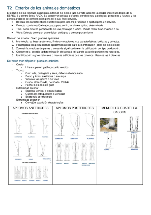 Miniatura del documento T2Exteriordelosanimalesdomesticos.pdf