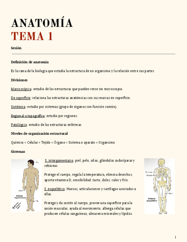Miniatura del documento TEMA-1.pdf