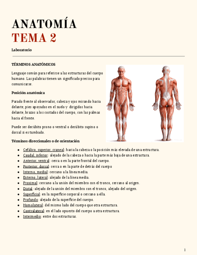 Miniatura del documento TEMA-2.pdf