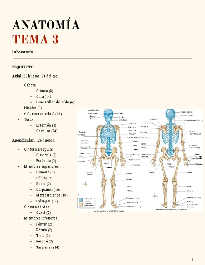 Miniatura del documento TEMA-3.pdf