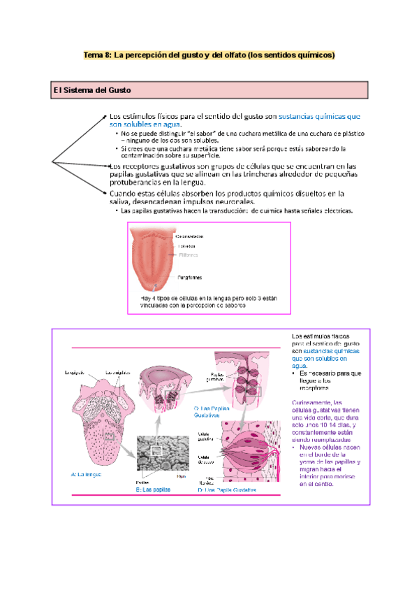 Miniatura del documento Tema-8.-PyA.pdf