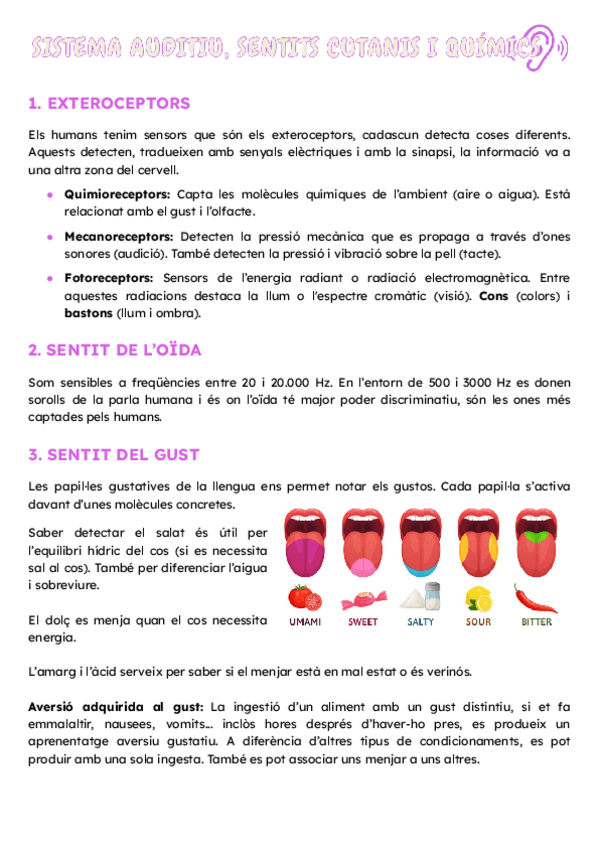 Miniatura del documento Tema-9.-Sistema-auditiu.pdf