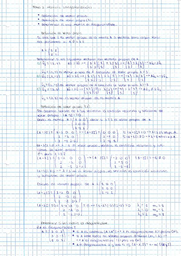 Miniatura del documento TEMA-2-MATRICES-DIAGONALIZACION.pdf