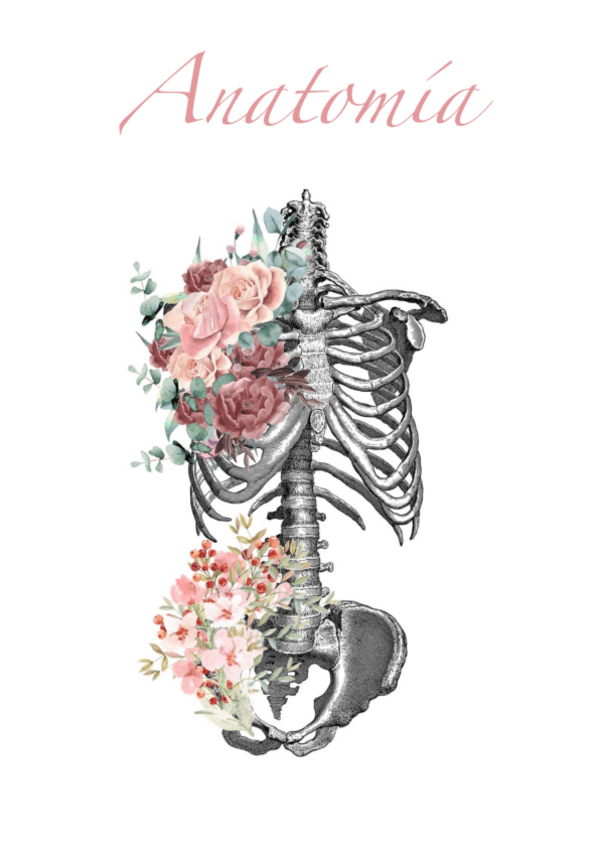 Miniatura del documento TEMARIO-ANUAL-ANATOMIA.pdf