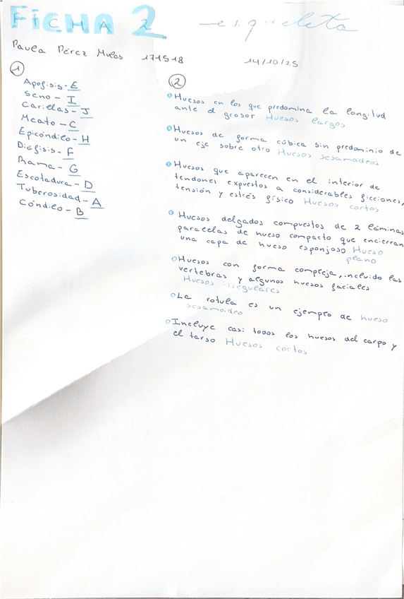 Miniatura del documento Ficha-2-Anatomia.pdf