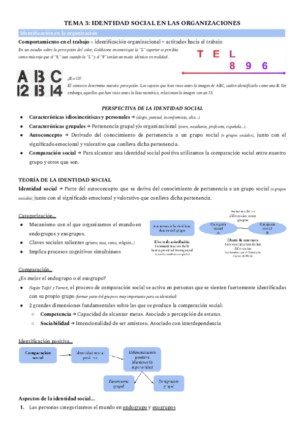 Miniatura del documento T3-Organizacion.pdf