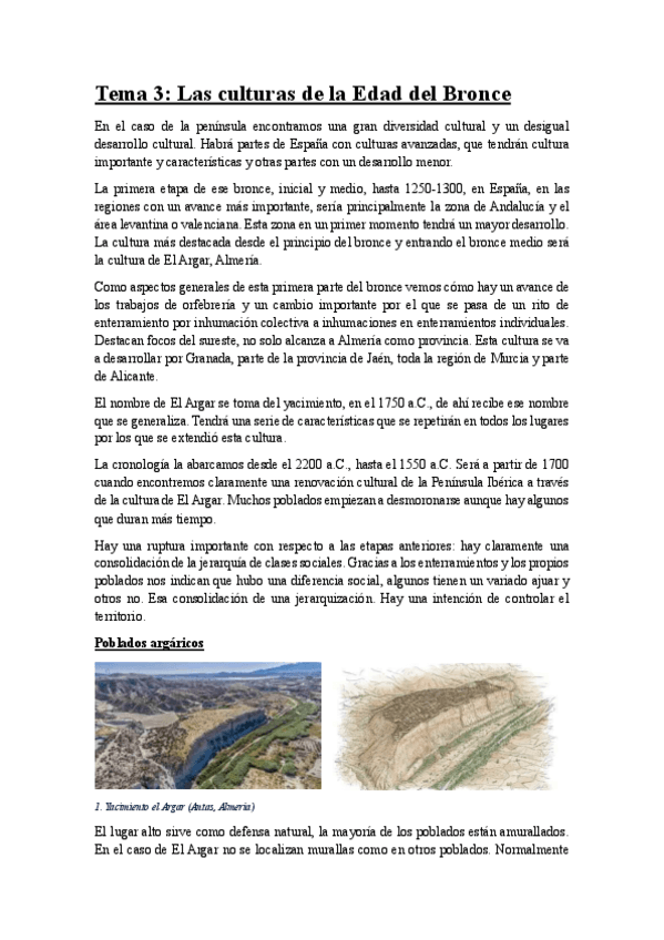 Miniatura del documento Tema-3.pdf