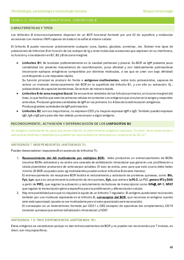 Miniatura del documento Tema-2.2.-Inmunidad-adaptativa.-Linfocitos-B.pdf