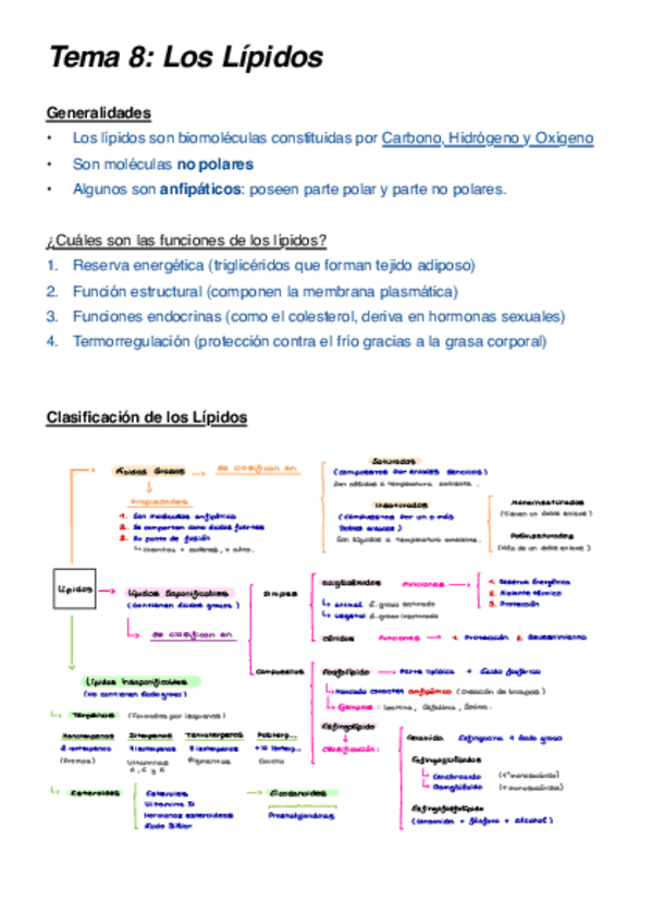 Miniatura del documento Tema-8-Lipidos.pdf