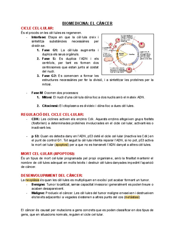 Miniatura del documento El-cancer.pdf