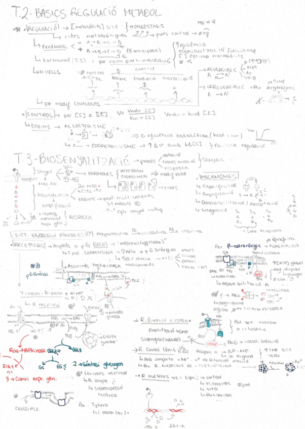 Miniatura del documento Esquema-BSM-1r-parcial-TEMES-2-i-3.pdf