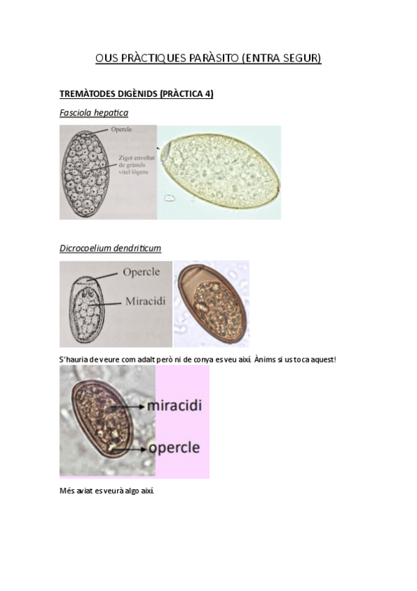 Miniatura del documento Ous-practiques-parasito.pdf