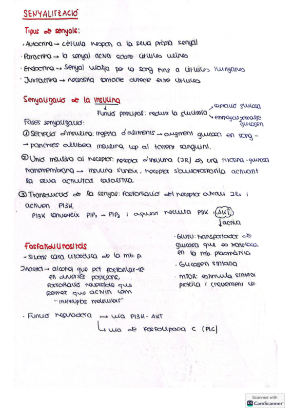 Miniatura del documento Resum-senyalitzacio-de-membrana-tema-2.pdf