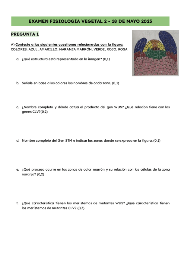 Miniatura del documento EXAMEN-FV-ANO-PASADO.pdf