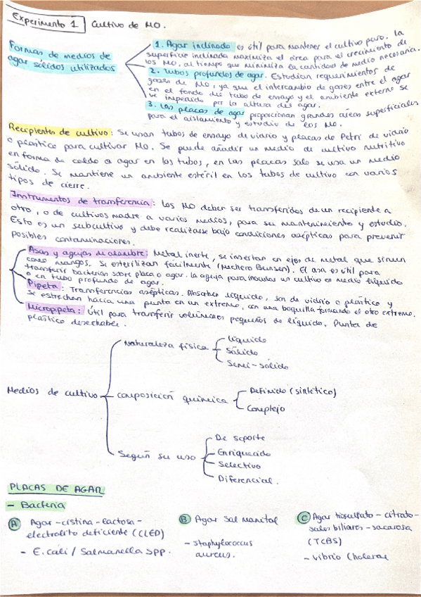 Miniatura del documento experimento-1-Microbiologia.pdf